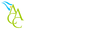 100px